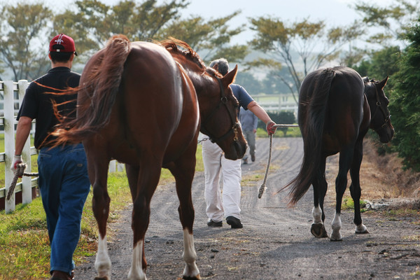 ▲ 자료사진 정기훈 기자