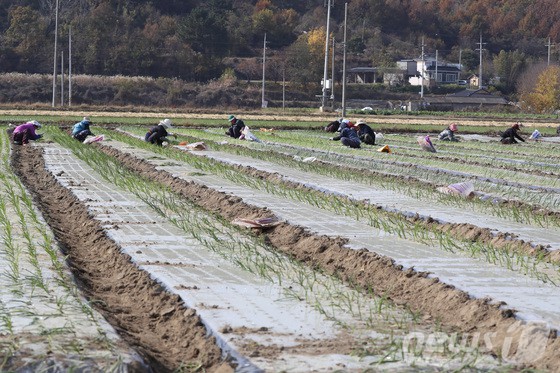 ▲ 자료사진 뉴스원